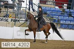 14r14_4202 proof