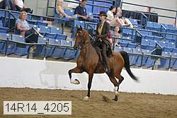 14r14_4205 proof
