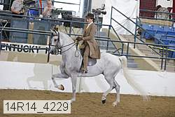 14r14_4229 proof