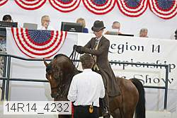 14r14_4232 proof