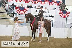 14r14_4233 proof