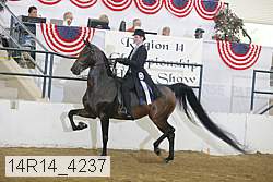14r14_4237 proof