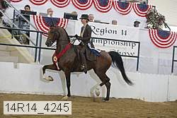14r14_4245 proof