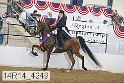 14r14_4249 proof