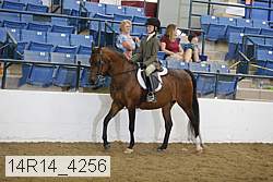 14r14_4256 proof