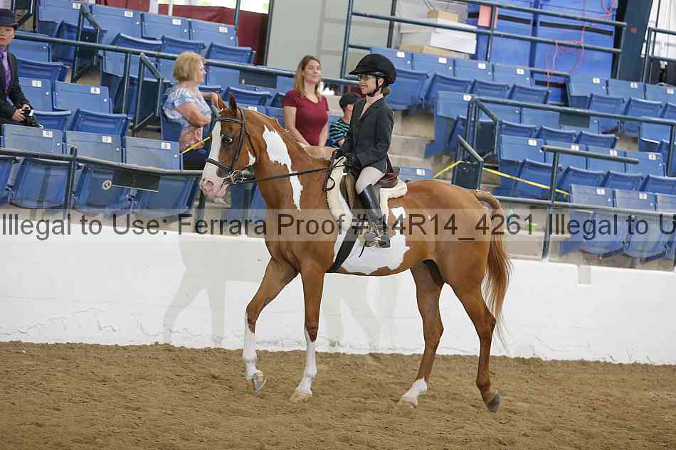 Proof 14r14_4261
