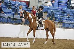 14r14_4261 proof