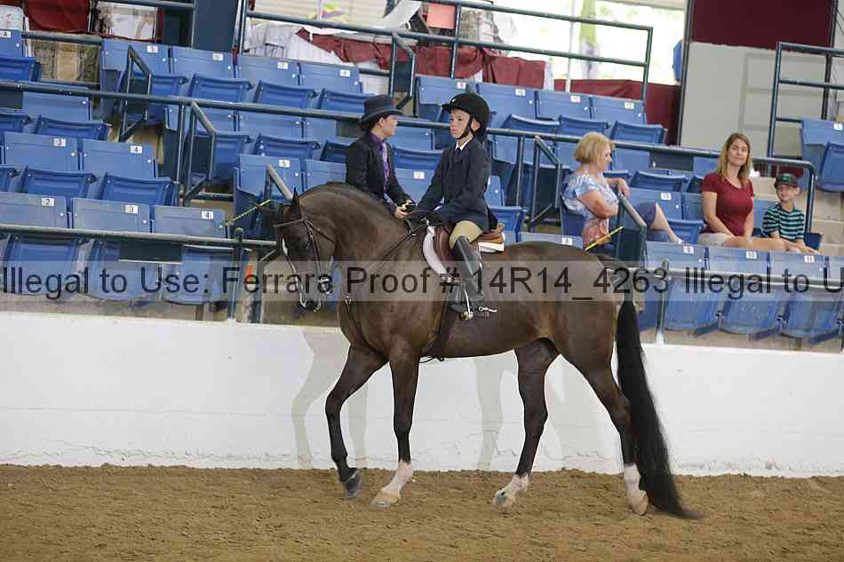 Proof 14r14_4263