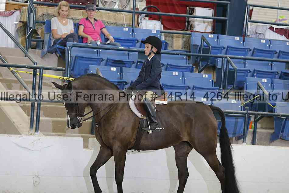 Proof 14r14_4264