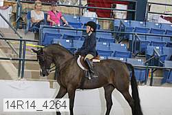 14r14_4264 proof