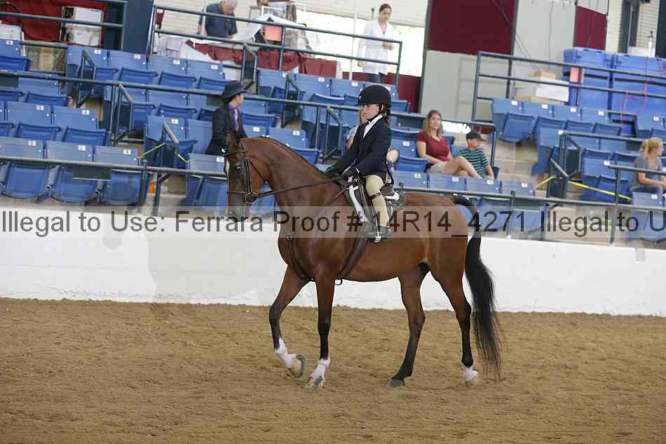 Proof 14r14_4271