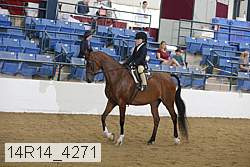 14r14_4271 proof