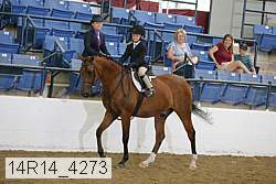 14r14_4273 proof