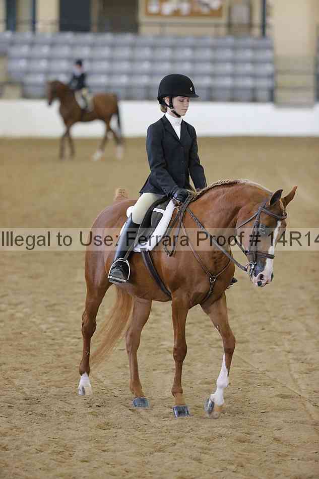Proof 14r14_4281