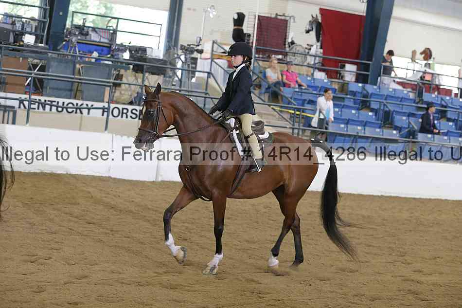 Proof 14r14_4286