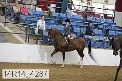14r14_4287 proof