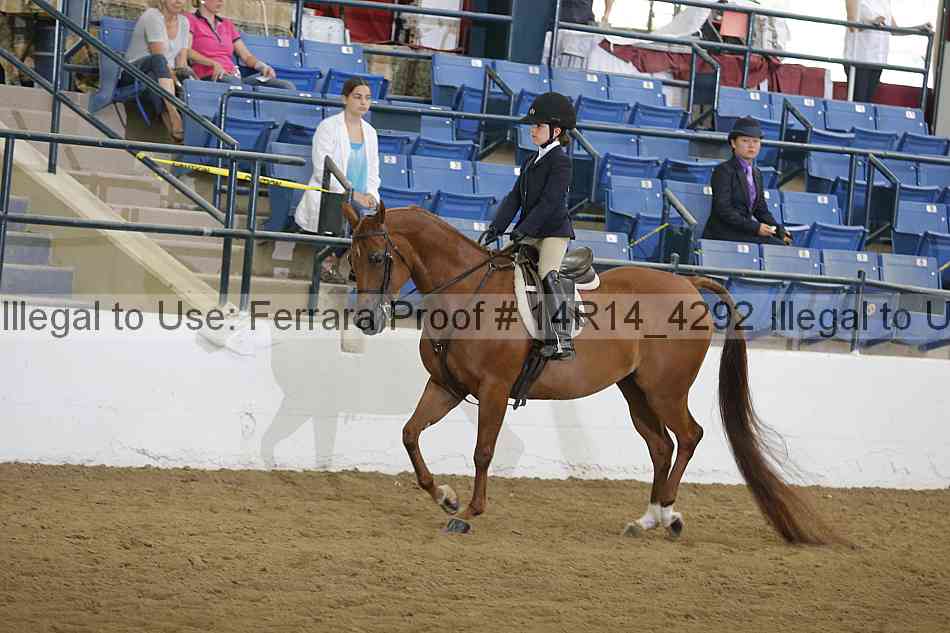 Proof 14r14_4292