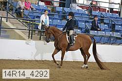 14r14_4292 proof