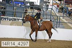 14r14_4297 proof