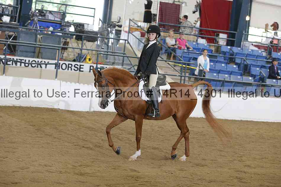 Proof 14r14_4301