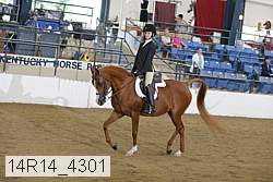 14r14_4301 proof