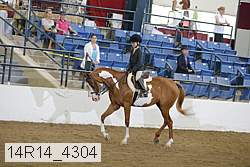 14r14_4304 proof