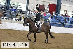 14r14_4305 proof
