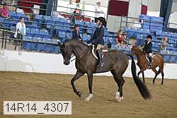 14r14_4307 proof