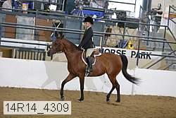 14r14_4309 proof