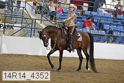 14r14_4352 proof