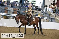 14r14_4353 proof