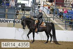14r14_4356 proof