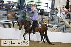 14r14_4366 proof