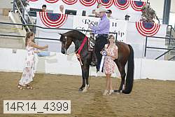 14r14_4399 proof