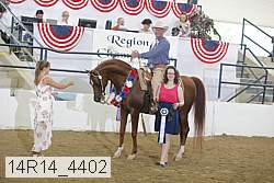 14r14_4402 proof