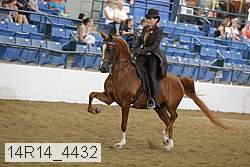 14r14_4432 proof