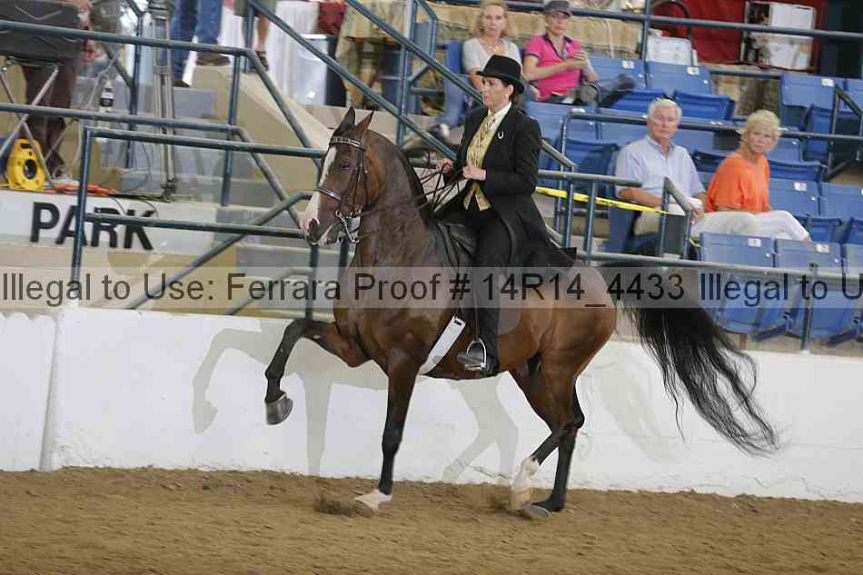 Proof 14r14_4433