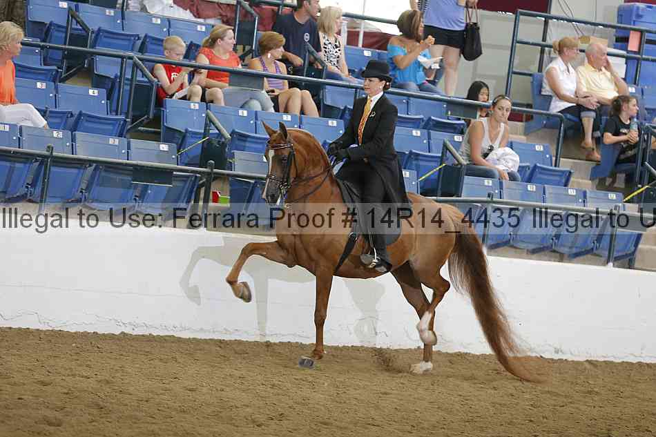 Proof 14r14_4435