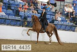 14r14_4435 proof