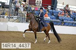 14r14_4437 proof
