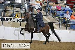 14r14_4438 proof