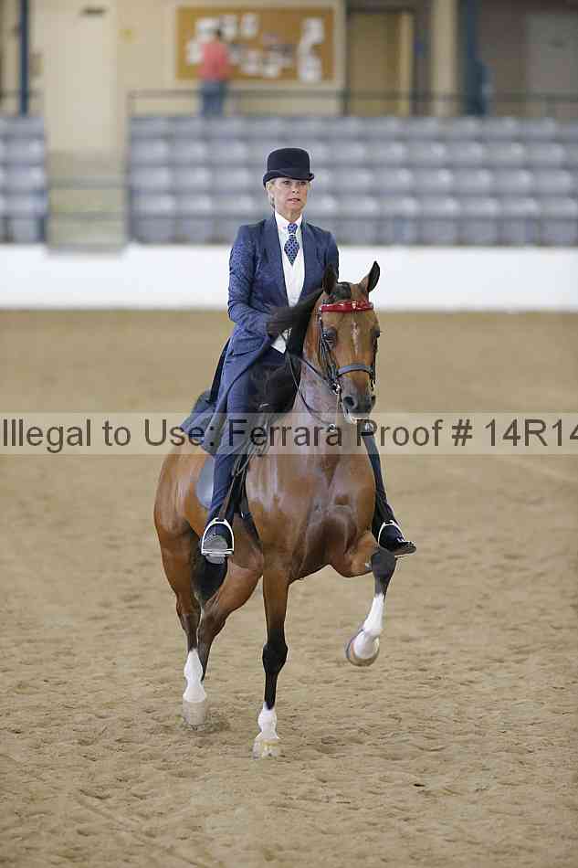 Proof 14r14_4445
