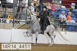 14r14_4451 proof