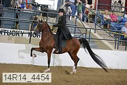 14r14_4454 proof
