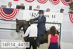 14r14_4455 proof