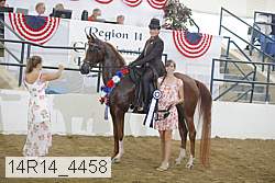 14r14_4458 proof