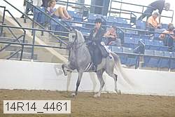 14r14_4461 proof