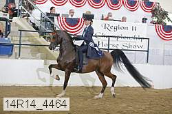 14r14_4464 proof