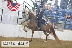 14r14_4468 proof