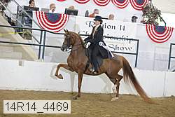 14r14_4469 proof
